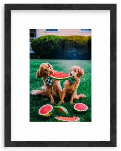 A Slice Of Summer