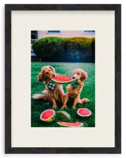 A Slice Of Summer