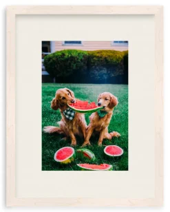 A Slice Of Summer