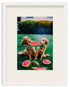 A Slice Of Summer