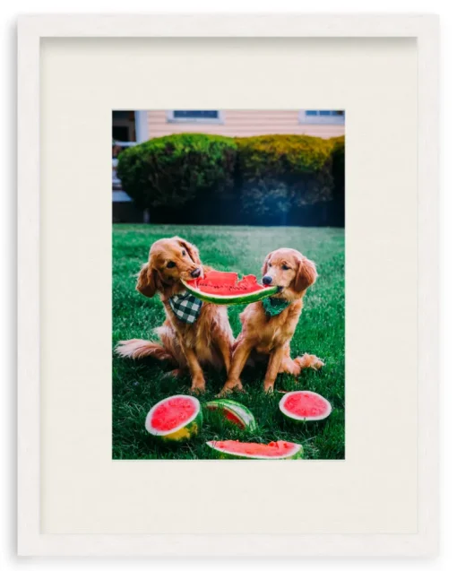 A Slice Of Summer