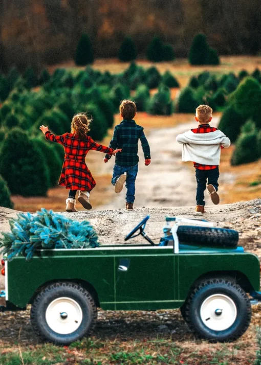 Apple Pie Skillet Kids Flannel Dress