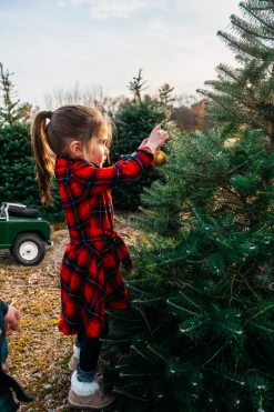 Apple Pie Skillet Kids Flannel Dress