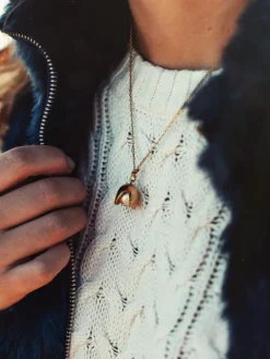 Little Shellfish