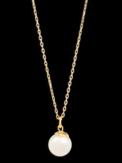 Oyster Elegance