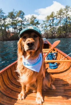 Seafari Bandana