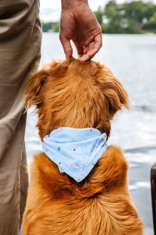 Seafari Bandana