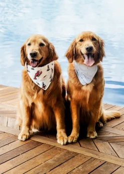Seafari Bandana