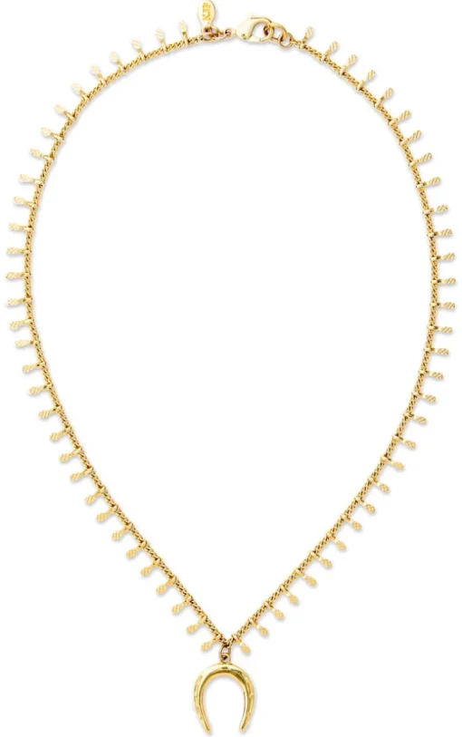 The Golden Horseshoe Necklace