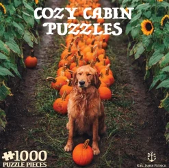 The Great Pumpkin Patch Puzzle