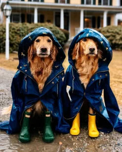 The Old Salt Navy Raincoat- Women's